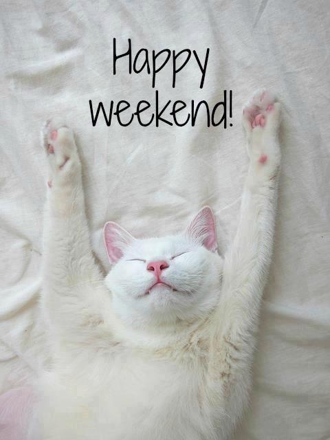 Happy-Weekend Happy-Weekend
